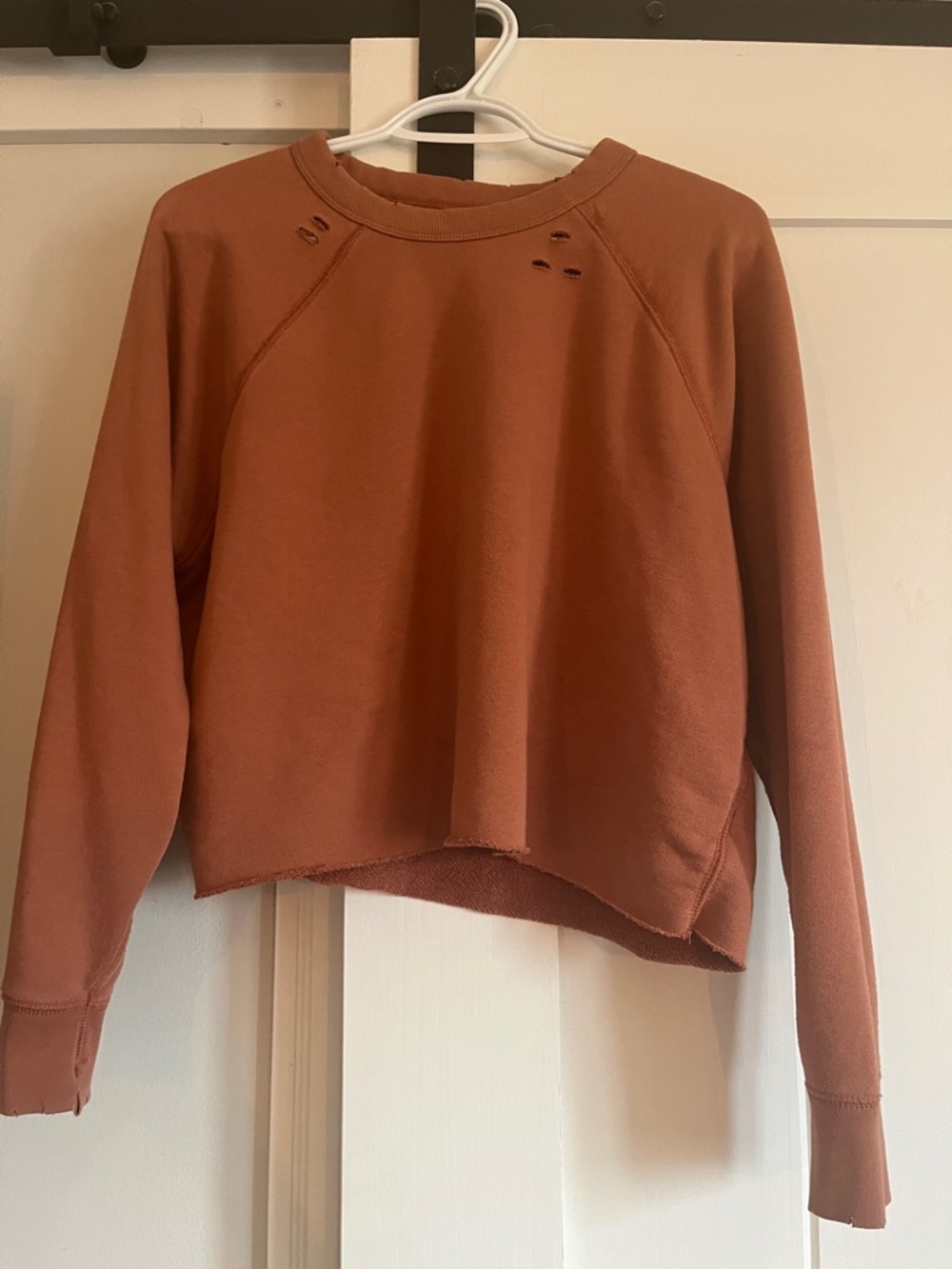aerie Rust Cropped Crewneck Sweatshirt